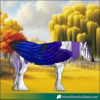 Horse Color:Watercolor White Spotted Black Splash 