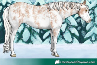 Horse Color:Silver Classic Champagne Sabino 