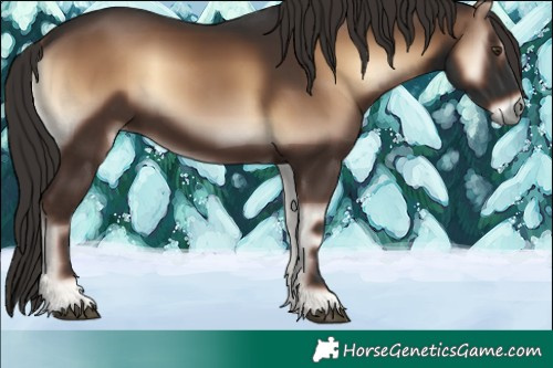 Horse Color:Liver Red Onyx