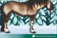 Horse Color:Liver Red Onyx 