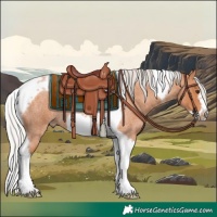 Horse Color:Silver Bay Roan Tobiano Frame 