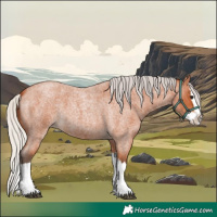 Horse Color:Silver Bay Roan Splash 