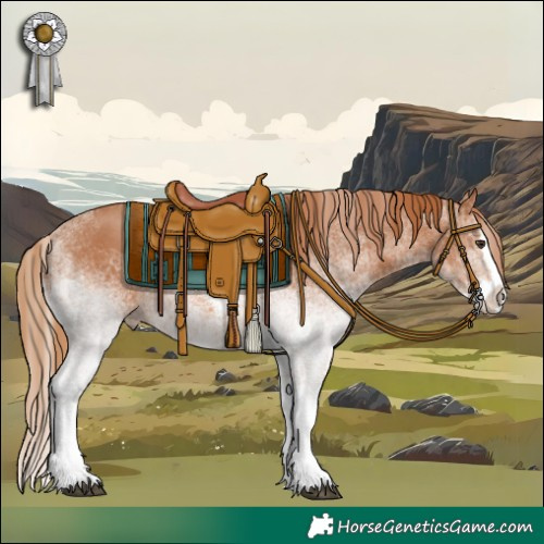 Horse Color:White Spotted Chestnut Splash 