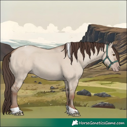 Horse Color:Classic Champagne Dun Tobiano