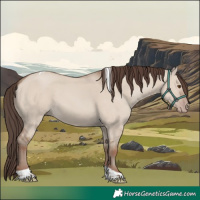 Horse Color:Classic Champagne Dun Tobiano 