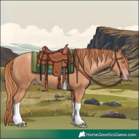 Horse Color:Gold Champagne Tobiano Rabicano 