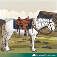Horse Color:Gray Buckskin Pearl