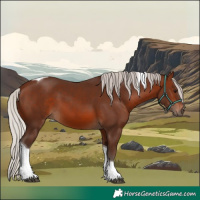 Horse Color:Silver Brown Tobiano