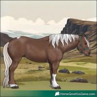 Horse Color:Silver Black Tobiano 