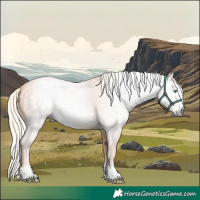 Horse Color:Gray Cremello 