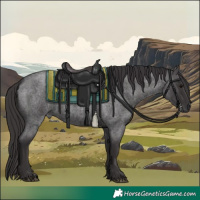 Horse Color:Smoky Blue Roan 