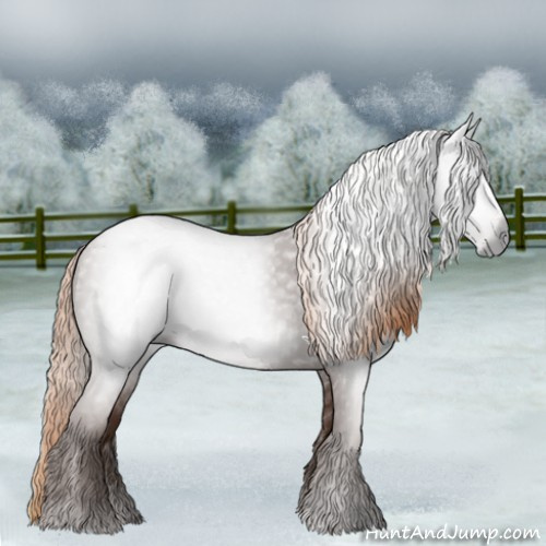 Horse Color:Gray Chestnut