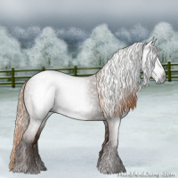 Horse Color:Gray Chestnut