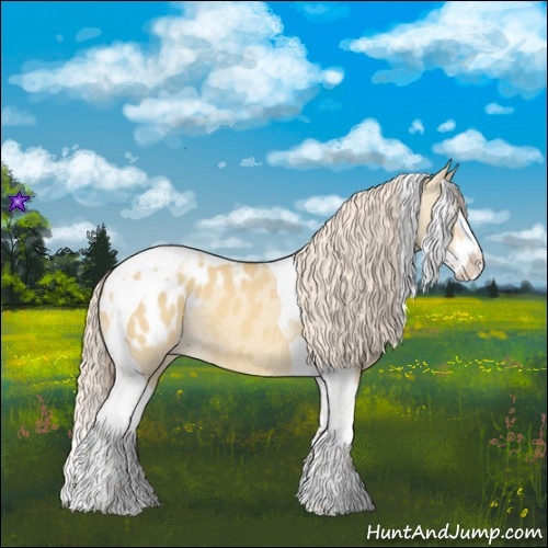 Horse Color:Palomino Dun Splash Tobiano Appaloosa