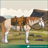 Horse Color:Red Dun Splash 