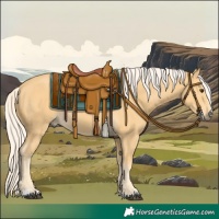 Horse Color:Palomino 