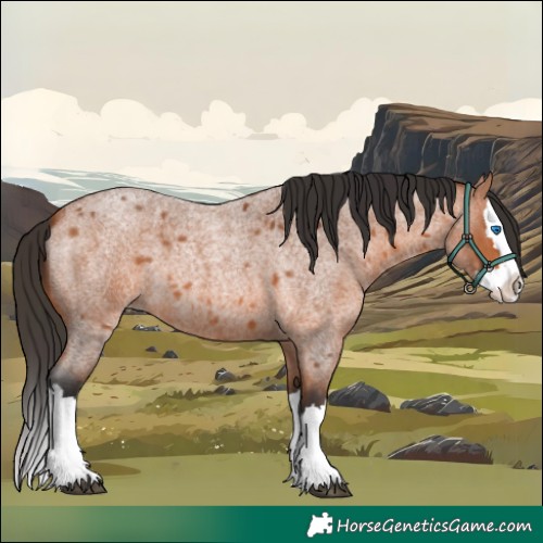 Horse Color:Bay Roan Splash 