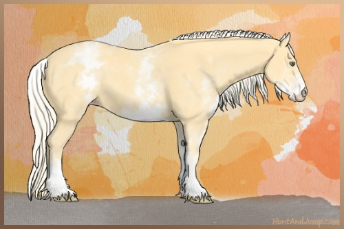 Horse Color:White Spotted Gold Cream Champagne