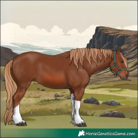 Horse Color:Chestnut Tobiano 