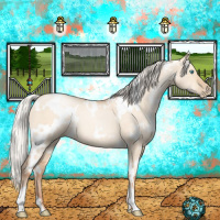 Horse Color:White Spotted Silver Sable Champagne Pearl Dun 