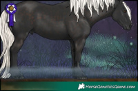Horse Color:Liver Chestnut Mushroom 