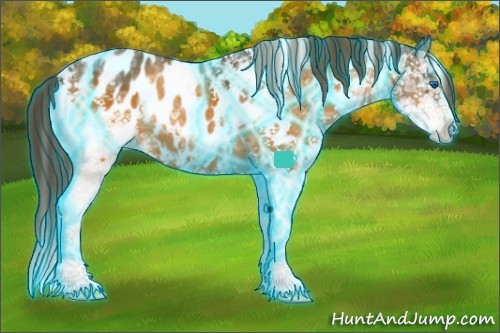 Horse Color:Thunderstruck White Spotted Brown Ice Sabino Splash Appaloosa 