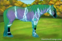Horse Color:Void Thunderstruck Watercolor Brown Sabino Splash Appaloosa 