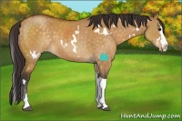 Horse Color:White Spotted Buckskin Dun Splash Tobiano Rabicano 