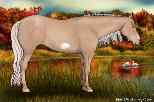 Horse Color:Silver Classic Champagne Frame