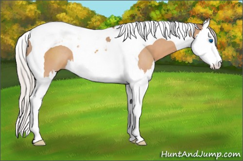 Horse Color:Silver Brown Dun Splash Tobiano