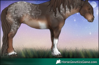 Horse Color:Liver Chestnut Tobiano 