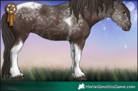 Horse Color:Liver Chestnut Tobiano 