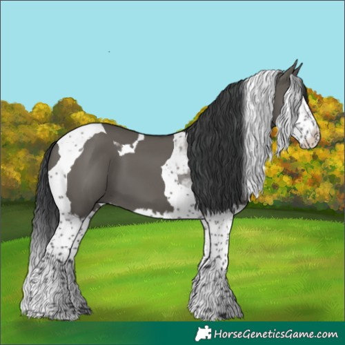 Horse Color:Grullo Sabino Splash Tobiano 