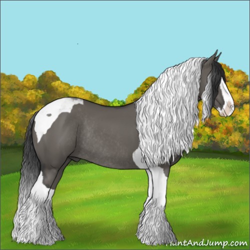Horse Color:Grullo Splash Tobiano Rabicano 