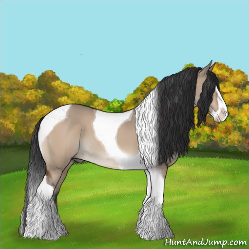 Horse Color:Brown Dun Splash Tobiano 