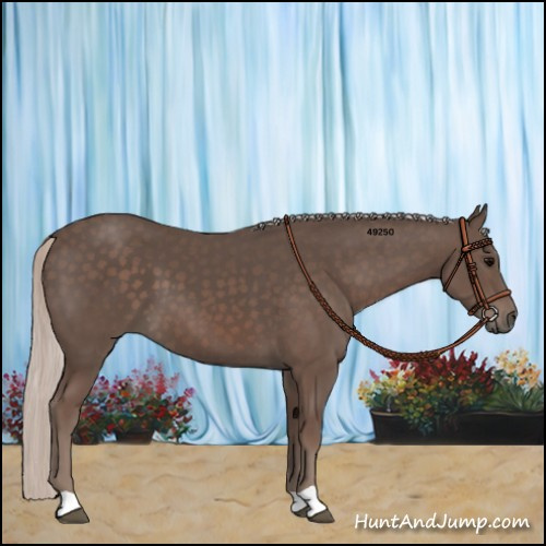 Horse Color:Silver Black 