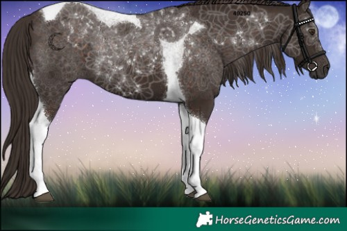 Horse Color:Liver Chestnut Tobiano 