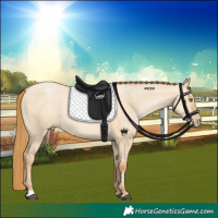 Horse Color:Red Dun Pearl 