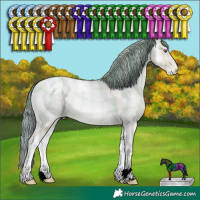 Horse Color:ERROR: UNKNOWN ANOMALY