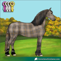 Horse Color:Plaid Grullo