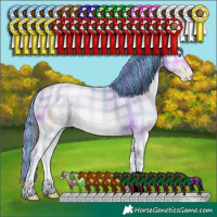 Horse Color:ERROR: UNKNOWN ANOMALY