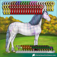 Horse Color:ERROR: UNKNOWN ANOMALY