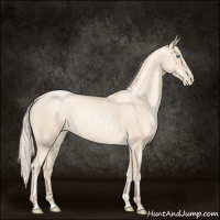 Horse Color:Silver Classic Cream Champagne Pearl 