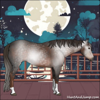 Horse Color:Gray Liver Chestnut Tobiano