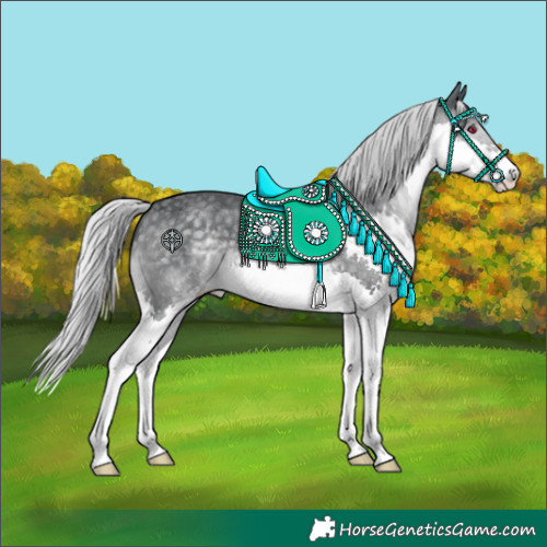 Horse Color:Silver Black Chinchilla Splash 