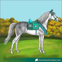 Horse Color:Silver Black Chinchilla Splash 