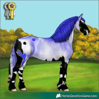 Horse Color:ERROR: UNKNOWN ANOMALY