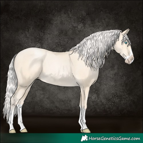 Horse Color:Silver Classic Cream Champagne Pearl Splash 