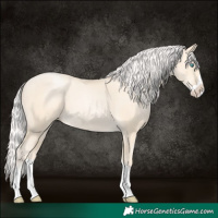 Horse Color:Silver Classic Cream Champagne Pearl Splash 