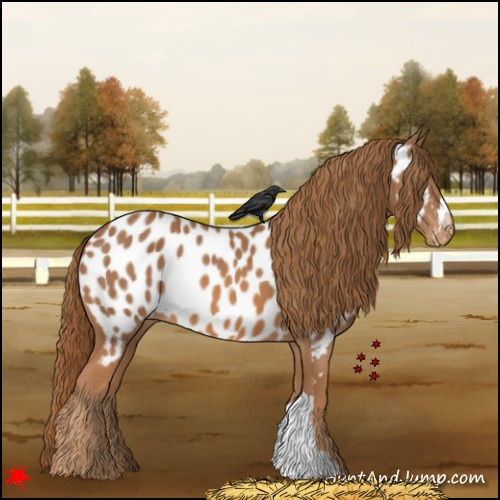 Horse Color:Chestnut Near Leopard